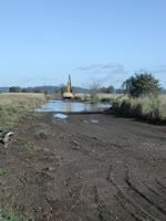 Restoring an Estuary